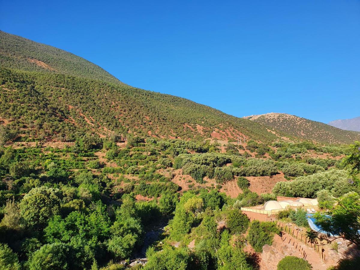 Bed and Breakfast Kasbah Africa Ouirgane Esterno foto