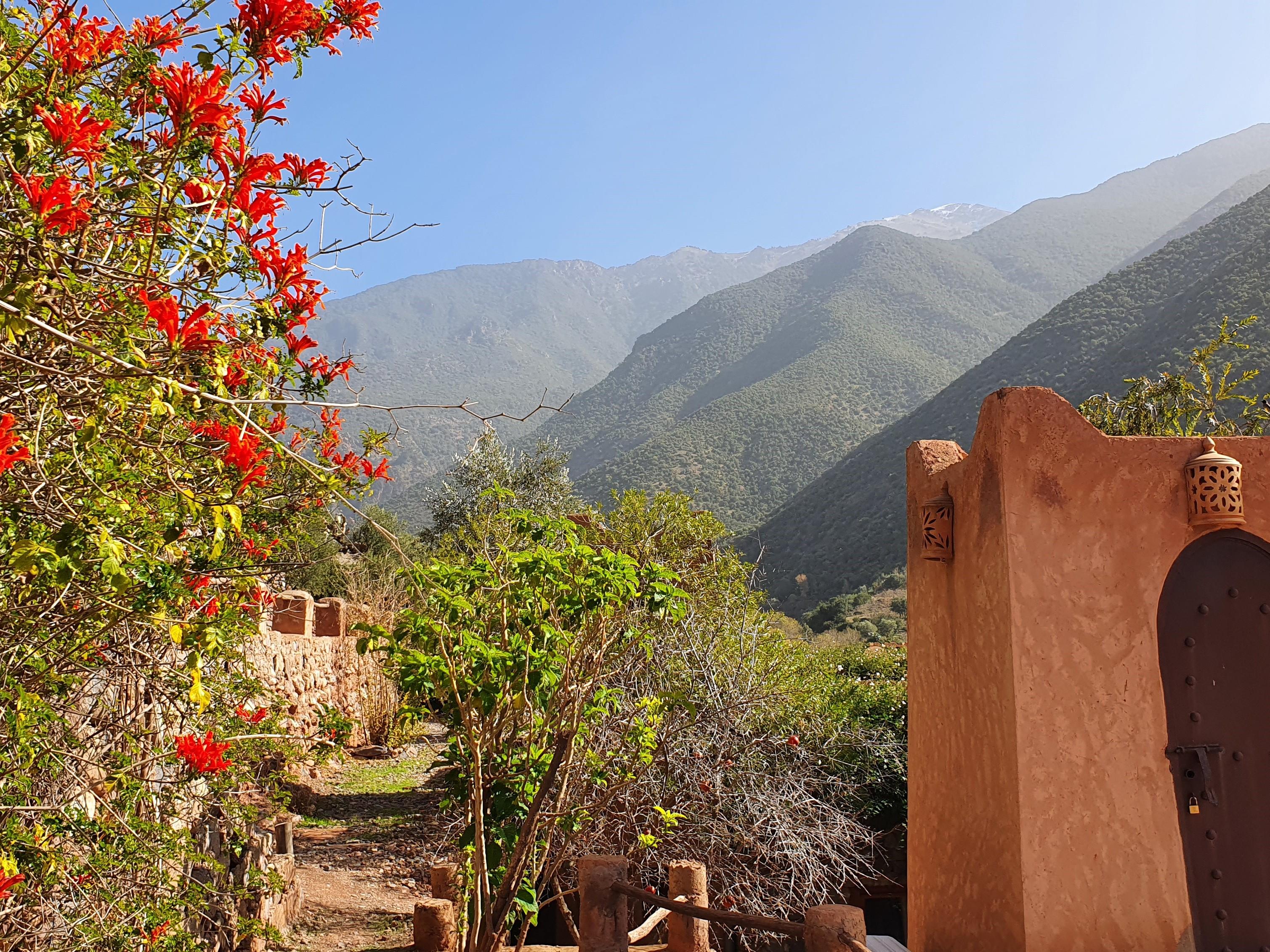 Bed and Breakfast Kasbah Africa Ouirgane Esterno foto