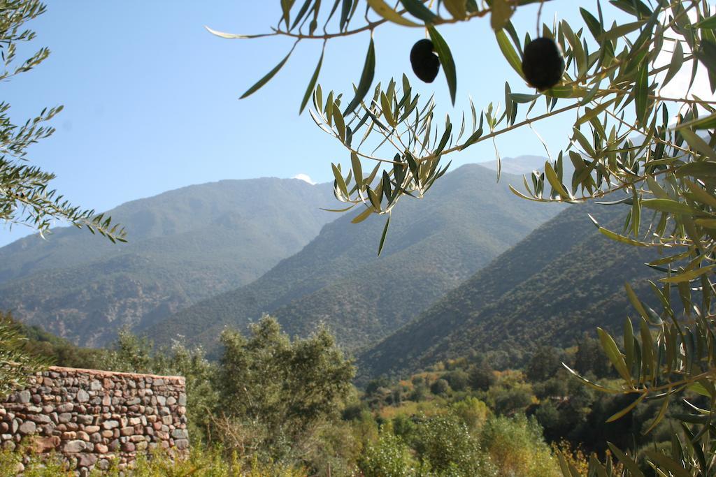 Bed and Breakfast Kasbah Africa Ouirgane Esterno foto
